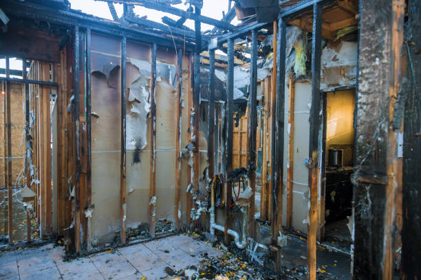 Professional Fire Damage Repair technician working in Bel Air, MD